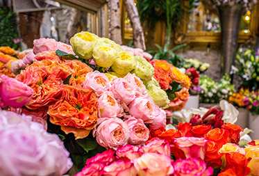 Fleuriste à Cannes Composition Et Livraison De Bouquets